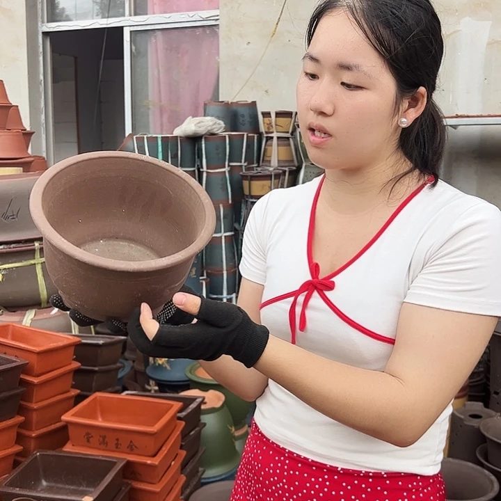 查林小马一只花盆花盆花盆花盆