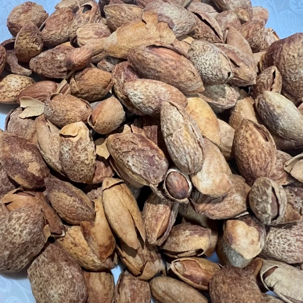 精选坚果（薄壳巴旦木）