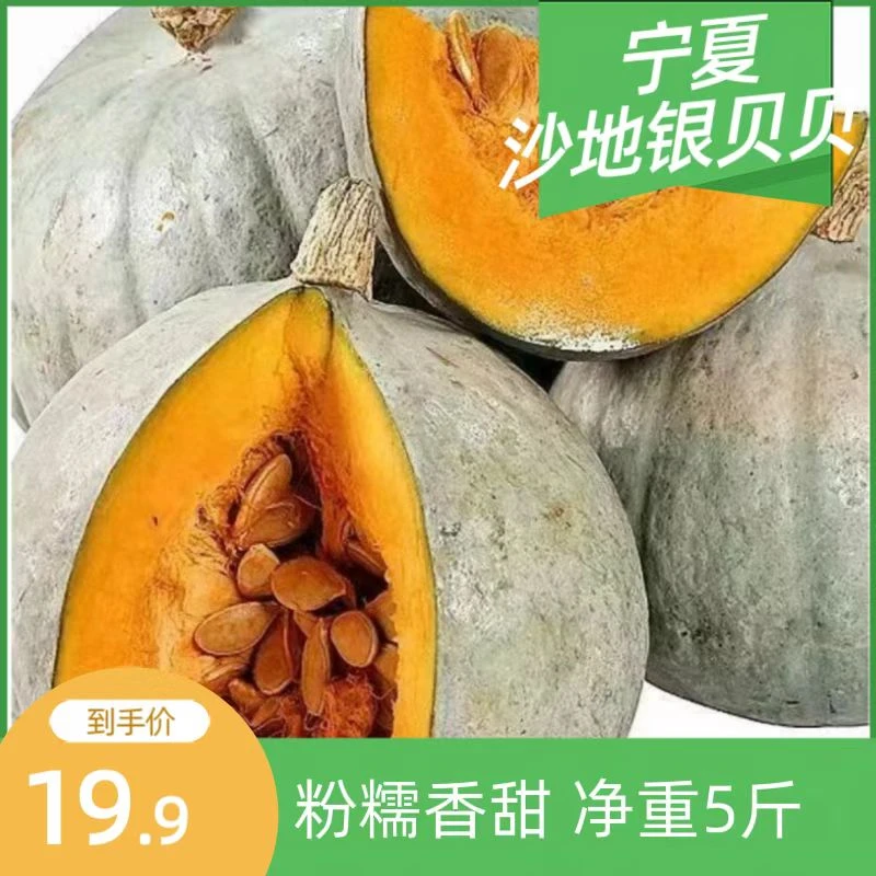 正宗银贝贝银栗南瓜新鲜粉糯甜可作宝宝辅食