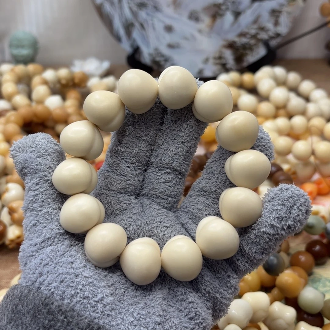 菩提根/象牙果吊坠22干磨牙果屁桃389