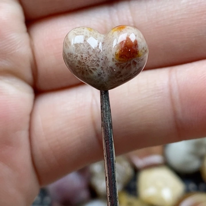 颈饰未镶嵌硅化珊瑚（珊瑚玉）小