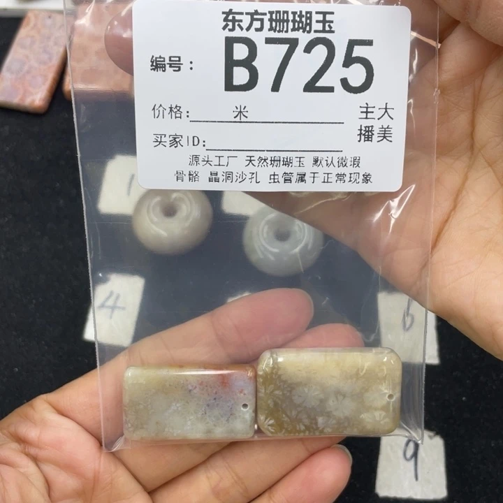 硅化珊瑚（珊瑚玉）颈饰合金?**样