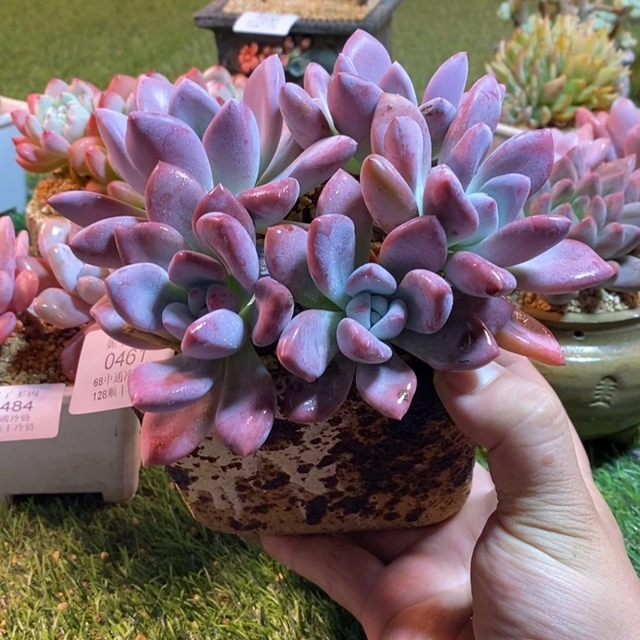 0461啊啊啊啊啊啊啊啊啊啊啊啊