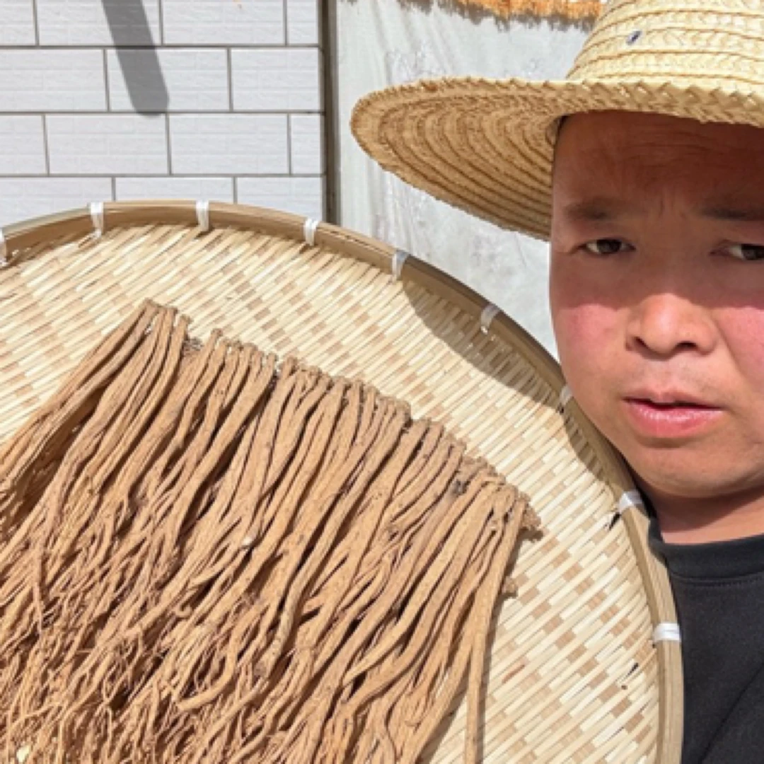 甘肃渭源白条党参小条