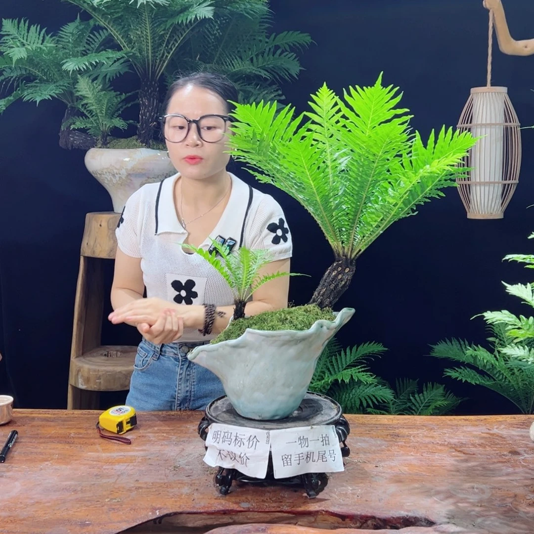 a***c无花朵隐隐约约隐隐约约有