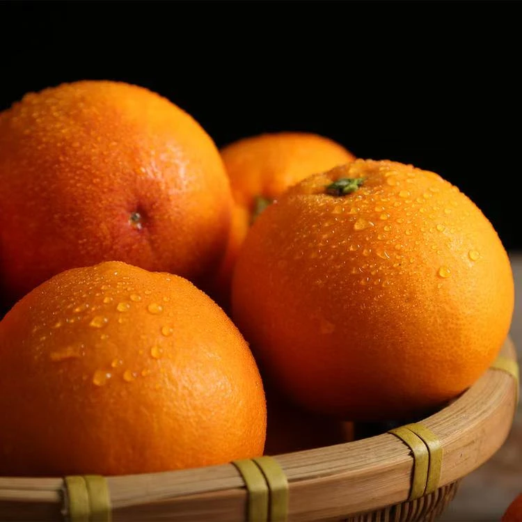 四川筠连新鲜玫瑰香柑当季橘子香甜可口