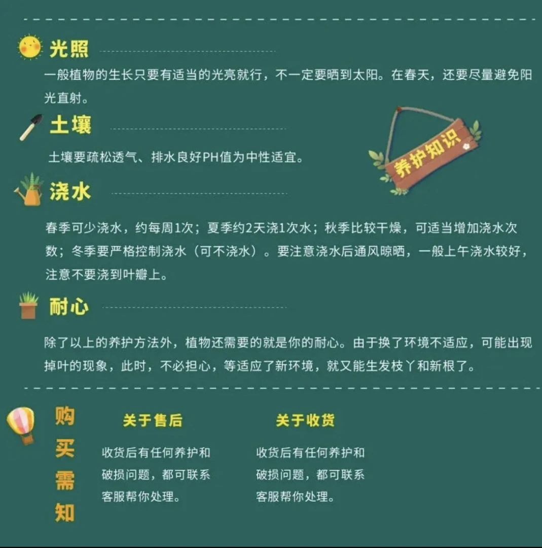 直播间随机兰花一颗
