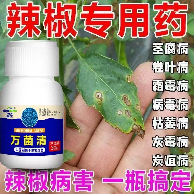 辣椒病专用辣椒病毒病卷叶病黄叶病虫害防治炭疽疫病辣椒专用菌剂