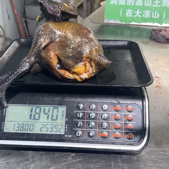 一号母鸡食用农产品中国大陆C*L