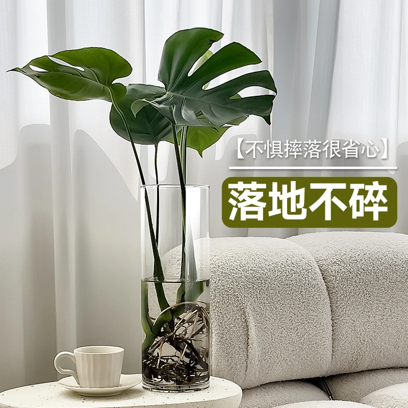 花瓶摆件客厅插花玻璃轻奢高级感龟背竹水培器皿富贵竹绿植花盆大