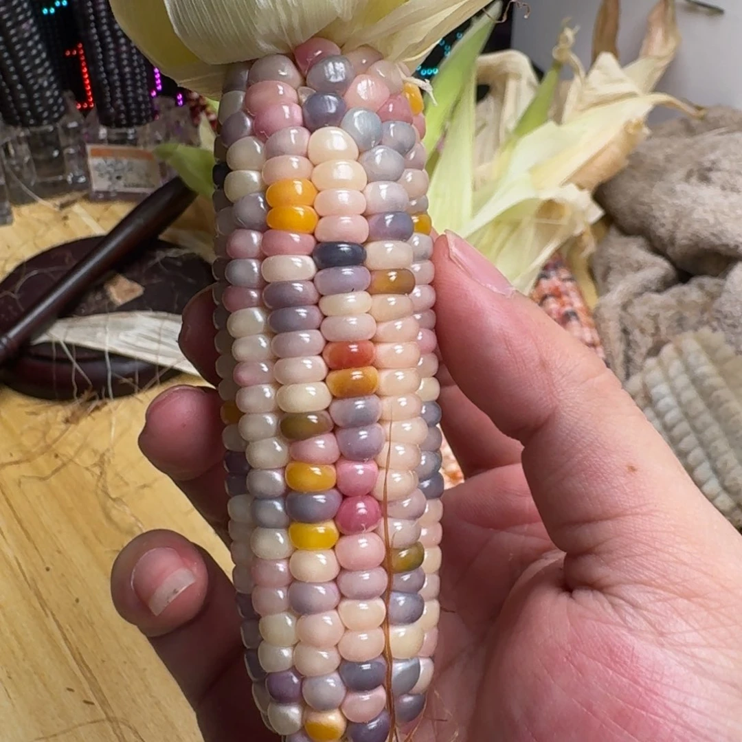 梵***山柏香籽/百香籽吊坠