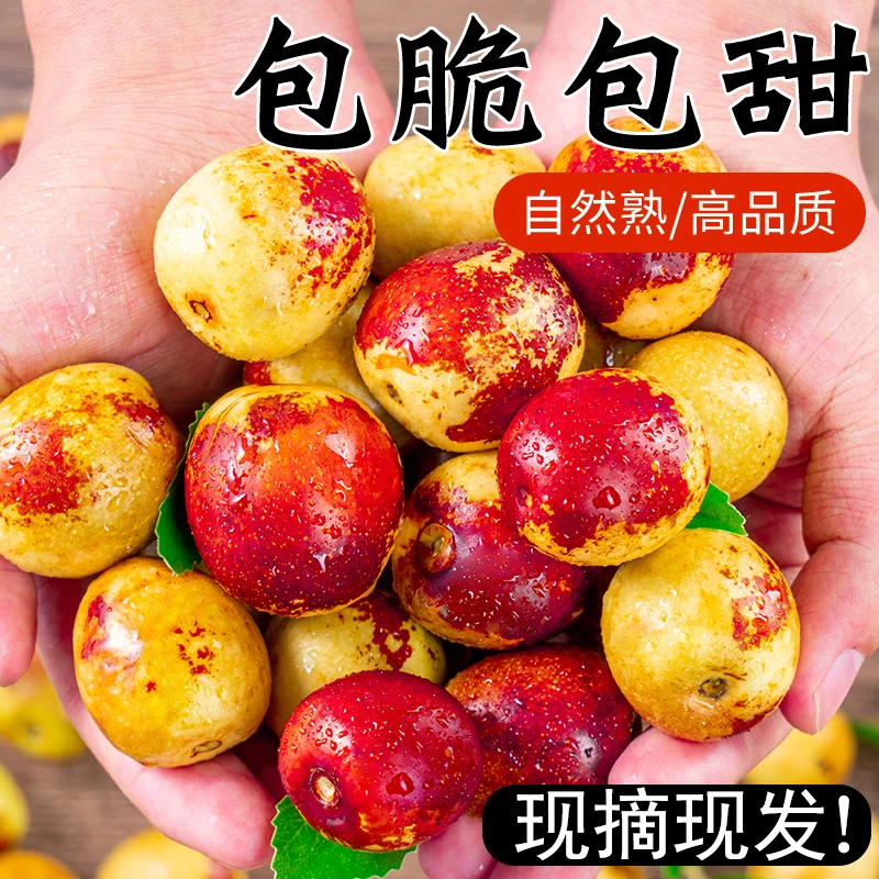 陕西正宗大荔新鲜冬枣时令冬枣脆枣新鲜水果爆甜大果包邮5斤现摘