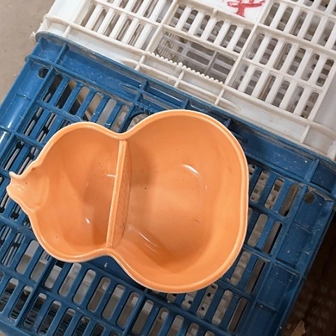 微瑕，明火，口径11，高度8底部脏