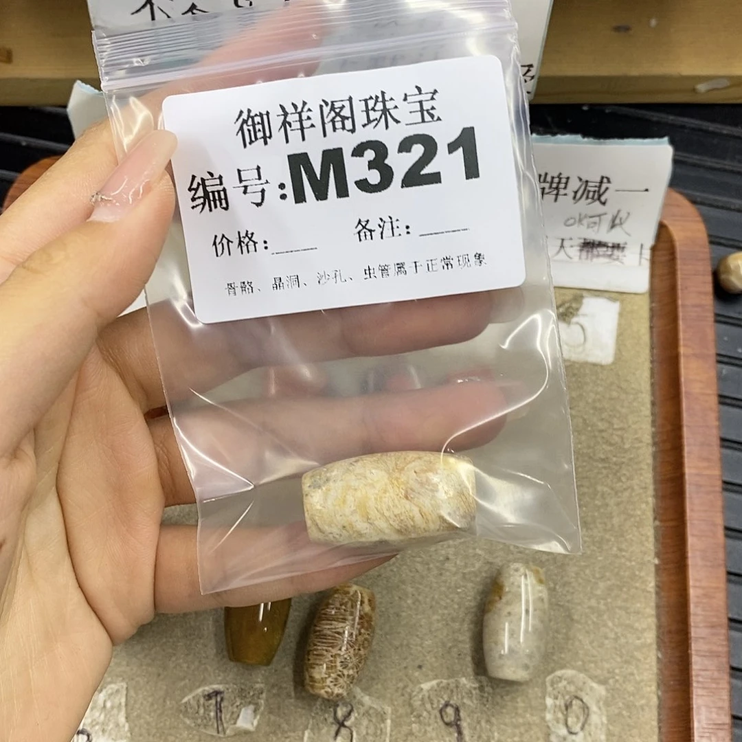 硅化珊瑚（珊瑚玉）未镶嵌颈饰小**驴