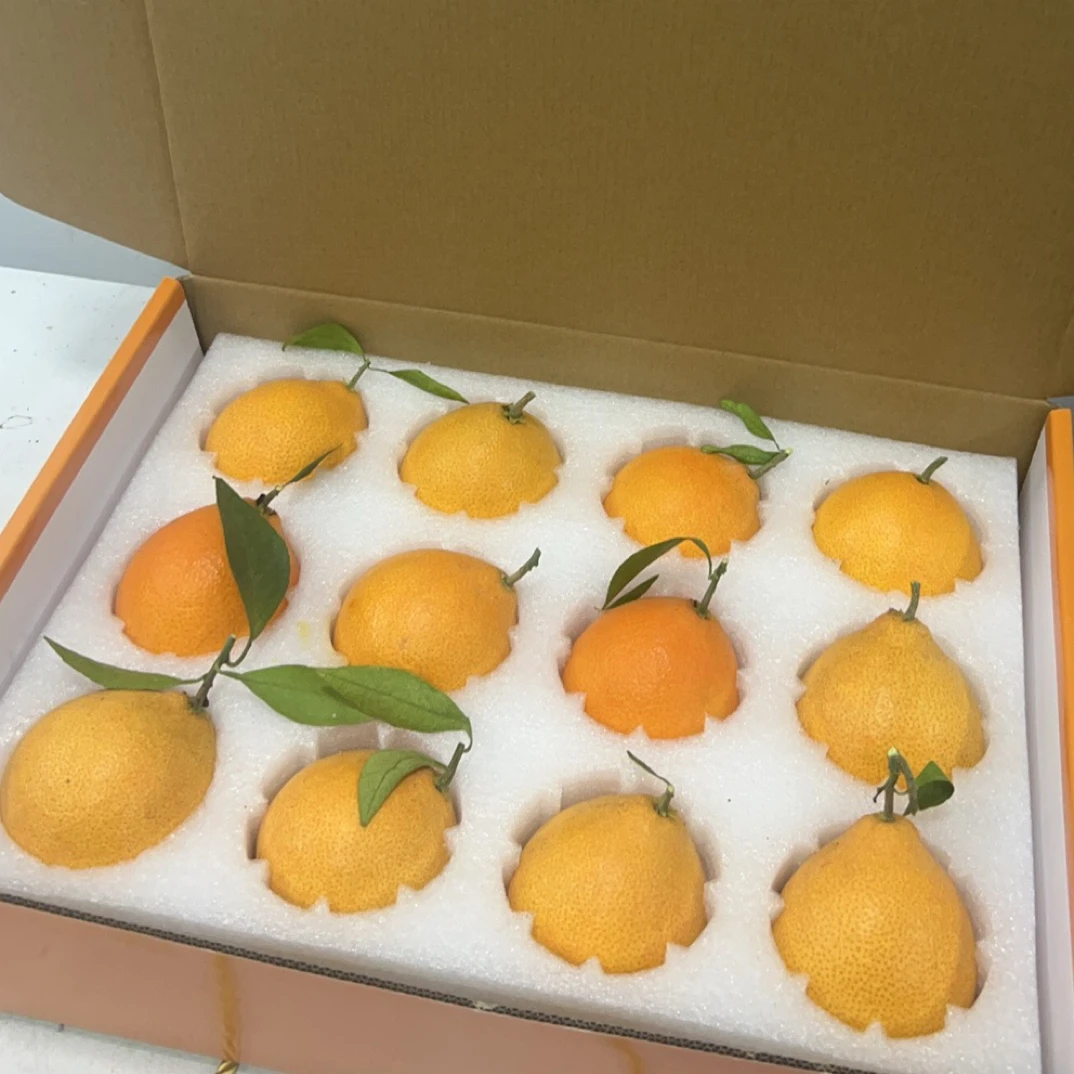 苏州少量开采红美人12个装，5.5斤左右礼盒装