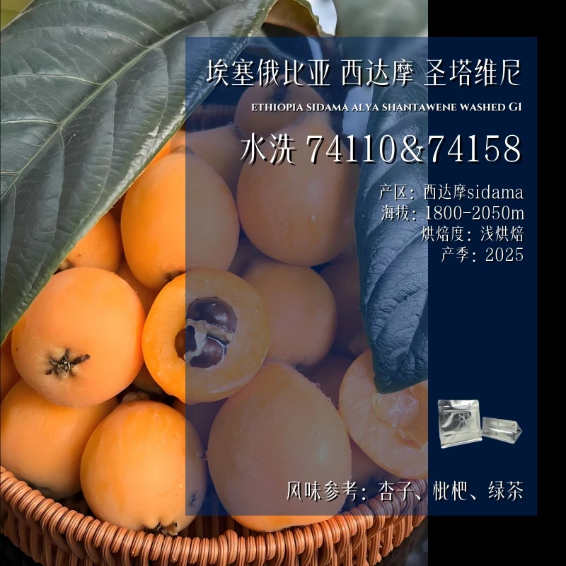 <25新品>埃塞俄比亚.西达摩.圣塔维尼.水洗.74110&74158.精品咖啡