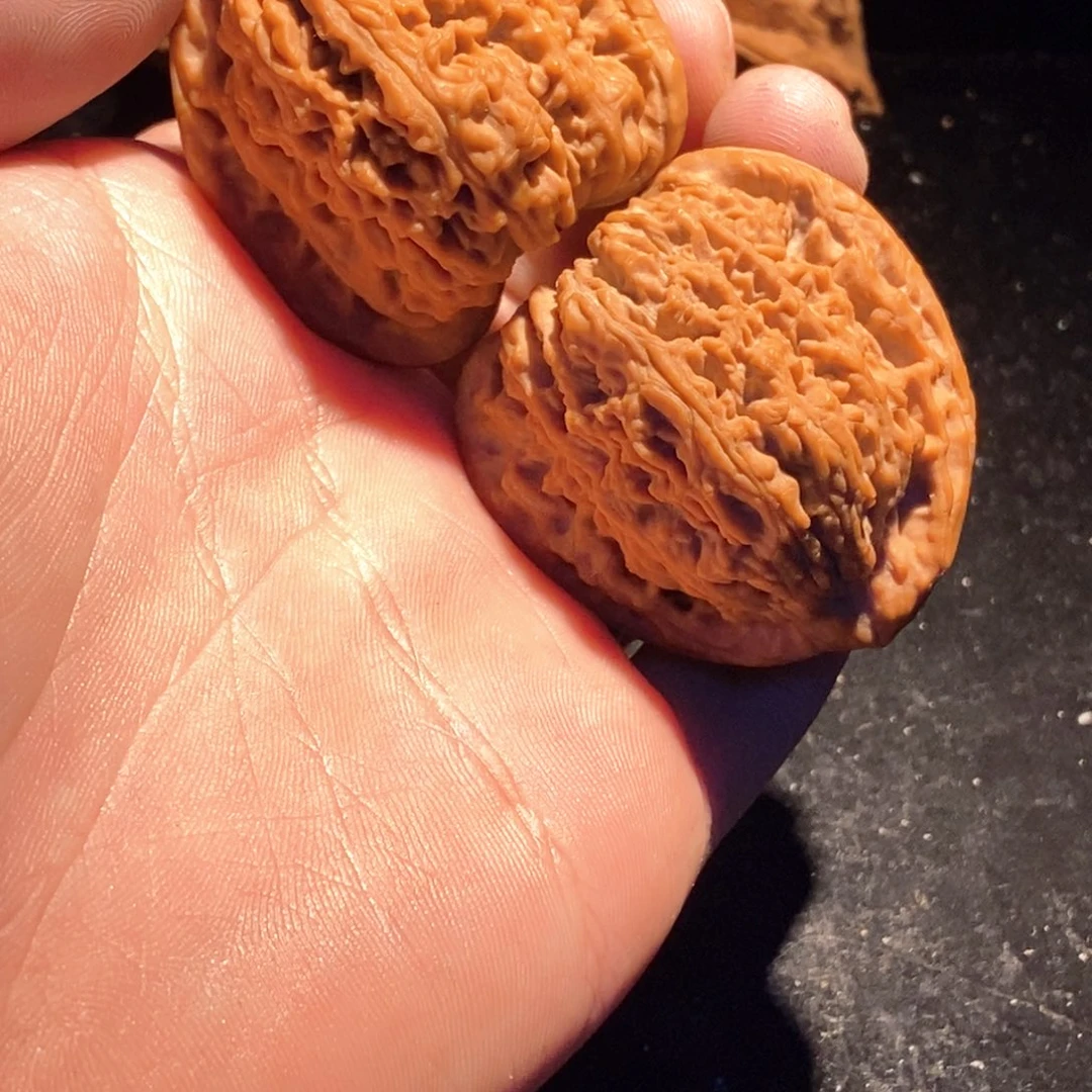 满***馆核桃手串/手链南疆石毕业42三角