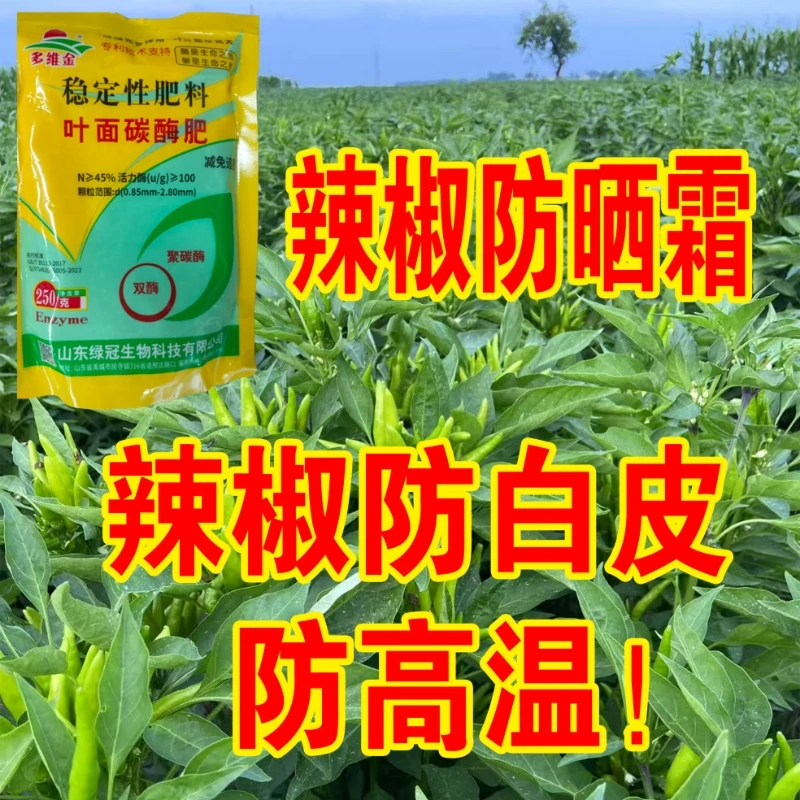 辣椒防晒少白皮营养剂五桶起发包邮到家