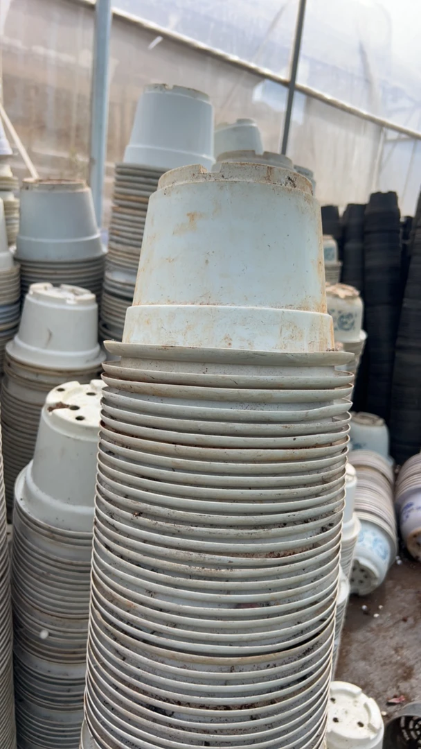 塑料旧花盆，白硬圆盆21口径15高 10个