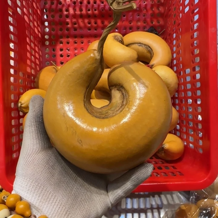 J****黑哈哈哈哈哈哈哈哈哈哈哈哈哈