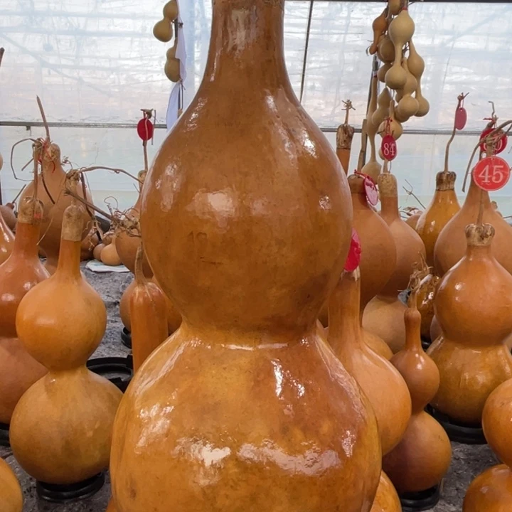 四***味大叶紫檀（黑酸枝木类）