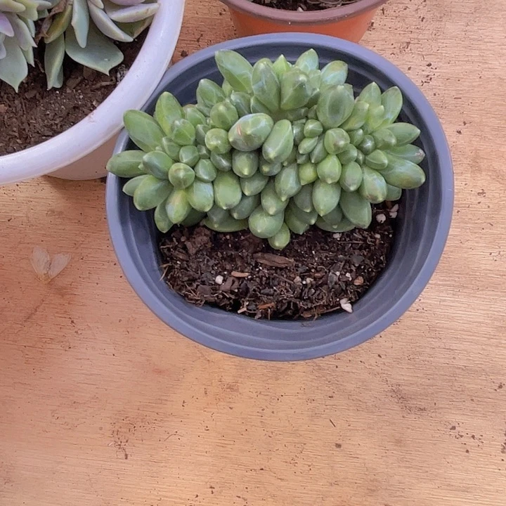 幸***妈00000000000000227