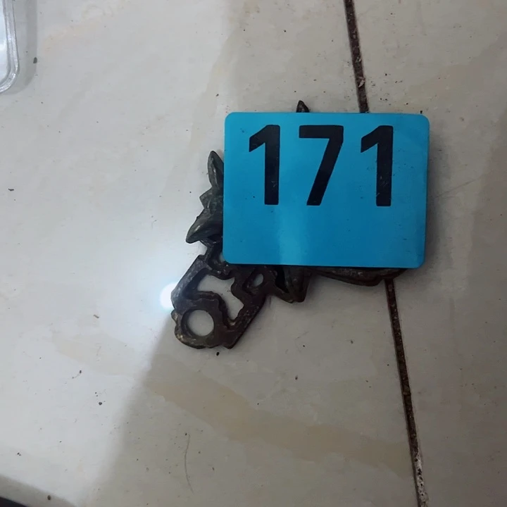 香榧木月**清11111111111111