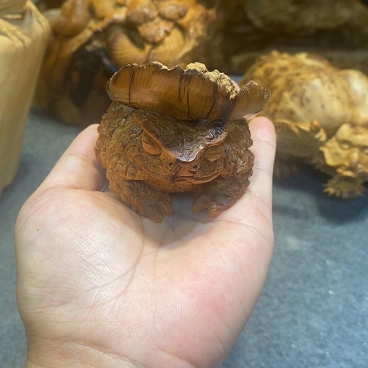 柏木（崖柏）太行崖柏