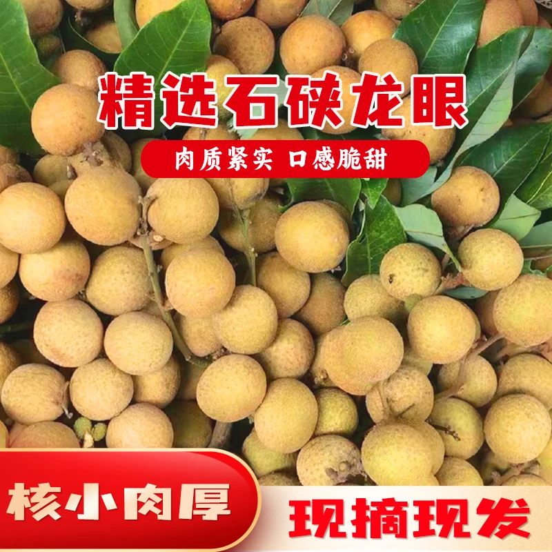 新鲜龙眼广东正宗石峡龙眼新鲜现摘当季高州石峡龙眼新鲜老树龙眼