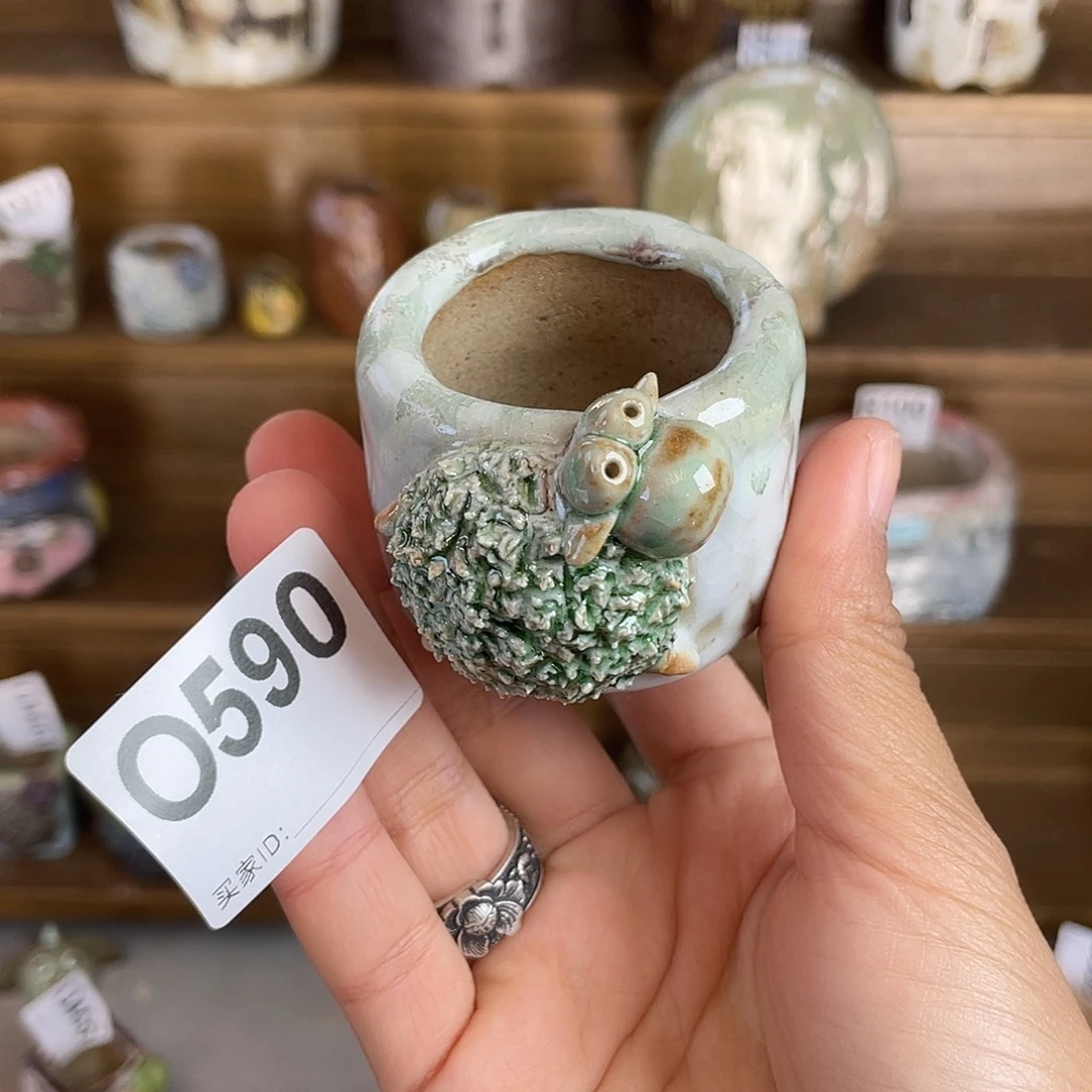 小白孤品 立体小羊圆 内口3.5百搭
