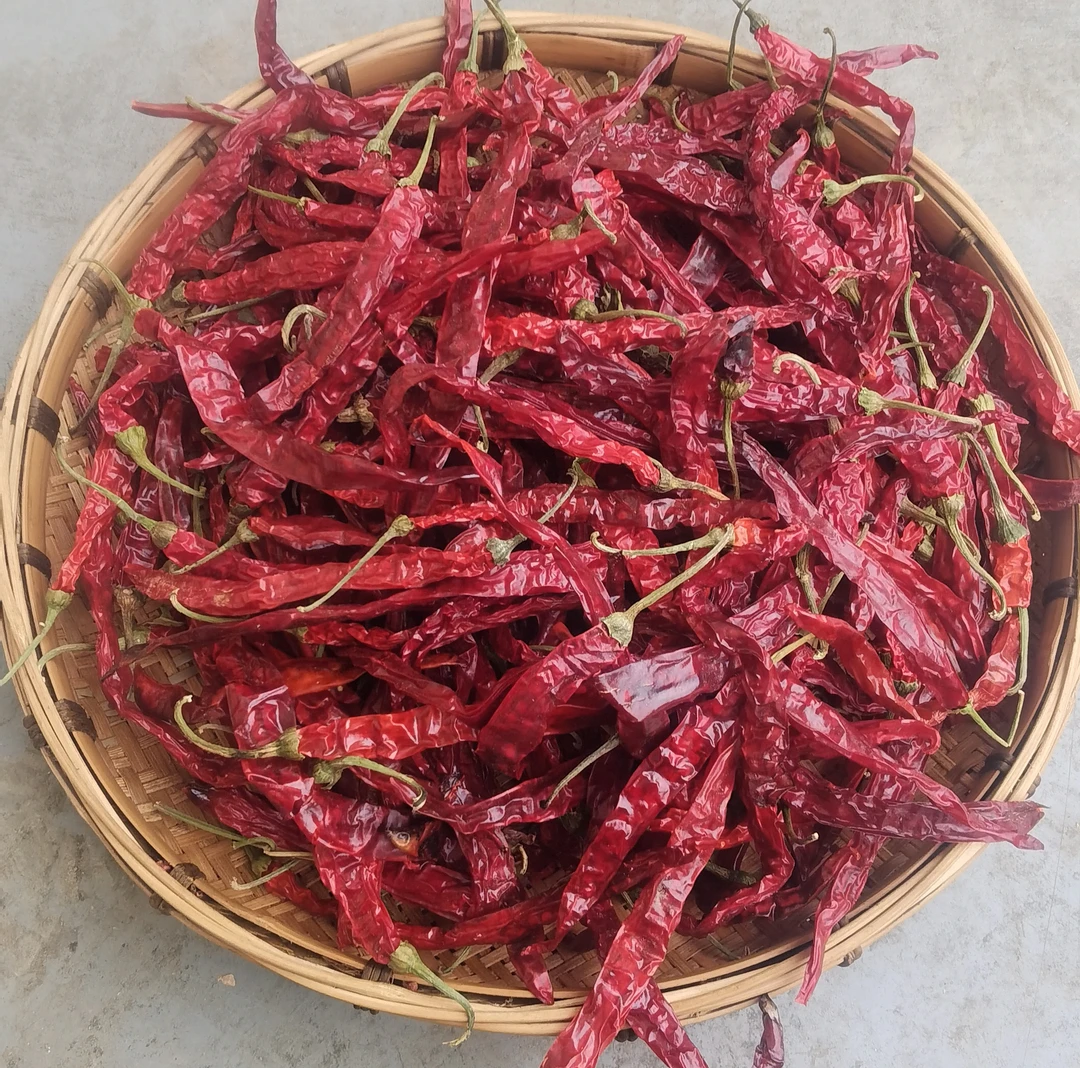 湘西农家自晒干辣椒
