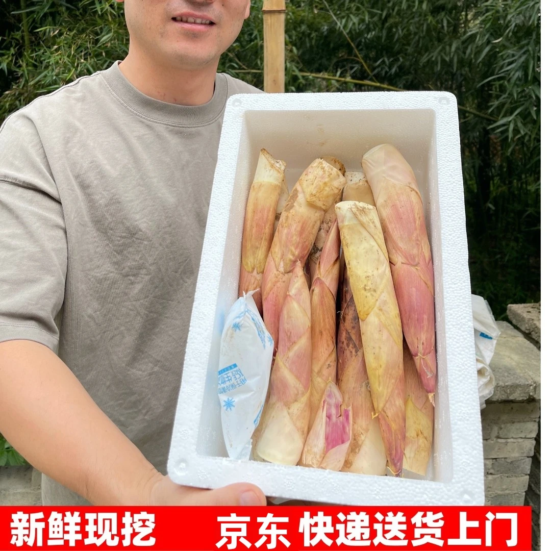 正宗临安天目山竹笋5斤3斤新鲜现挖去根发时令蔬产地直发京东快递