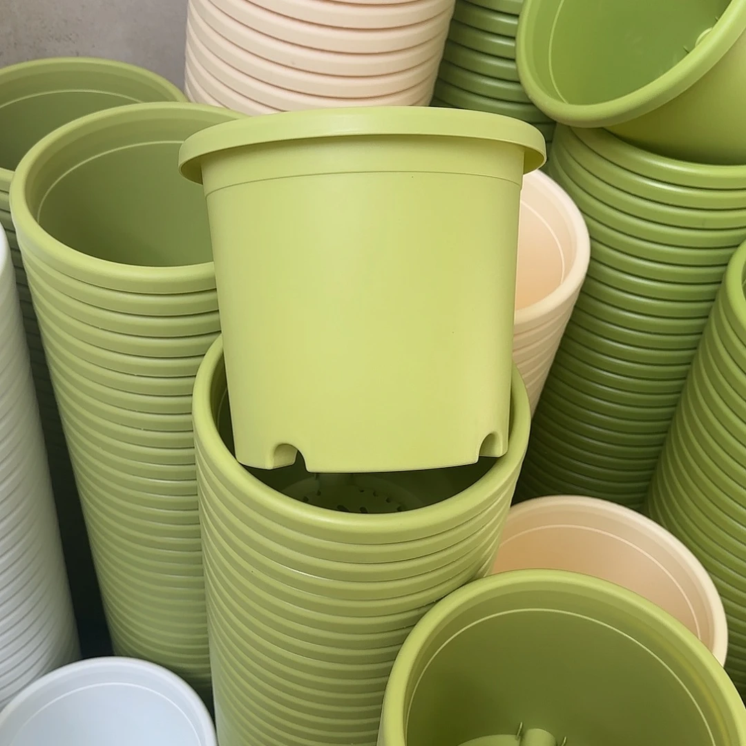 微瑕4号8个无托，果绿