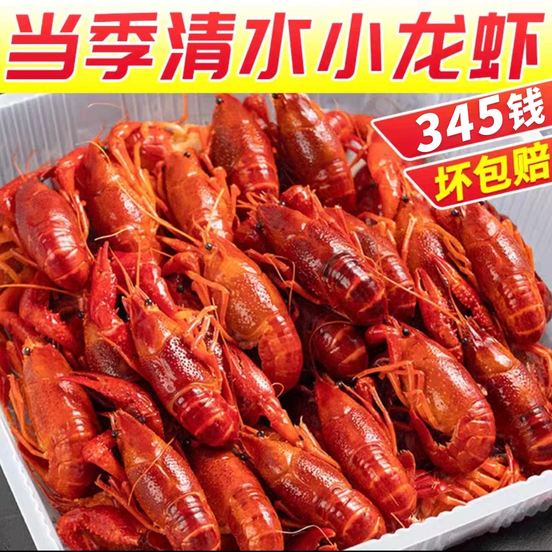 【新品上市】2025年新虾湖北潜江3-5钱液氮锁鲜清水小龙虾冷冻新鲜