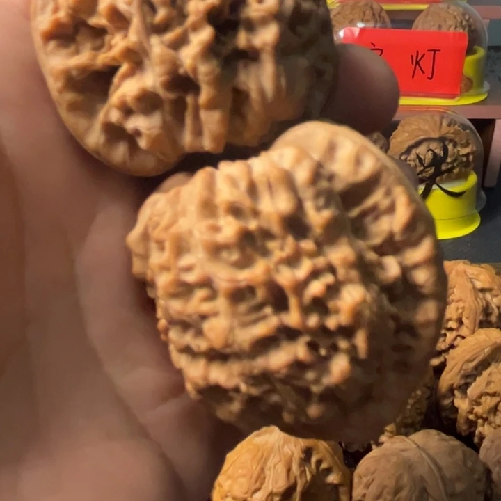 核桃新人直播福利  大官帽