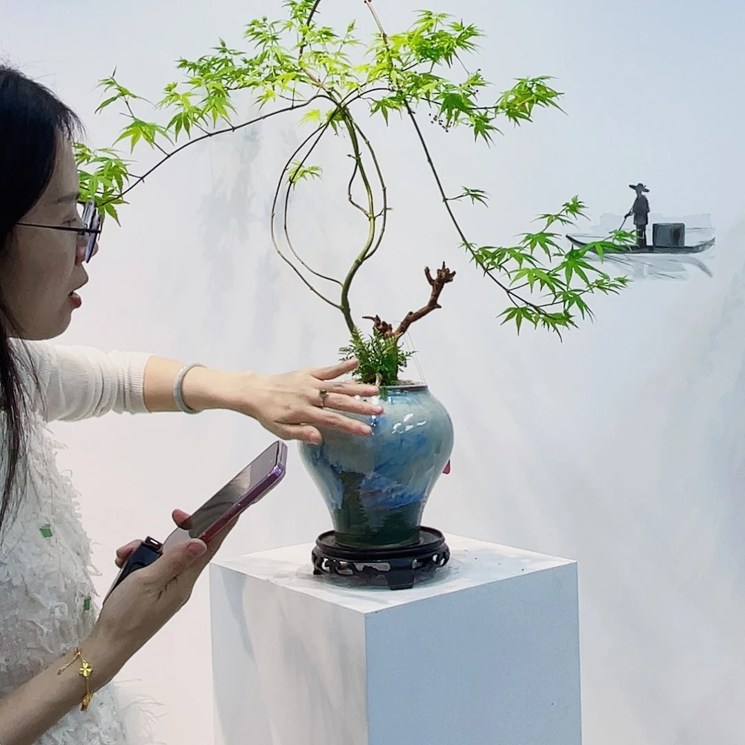 高端绿植一物一拍