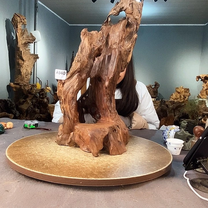 茶盏蒲****饰940株木的随行的根艺