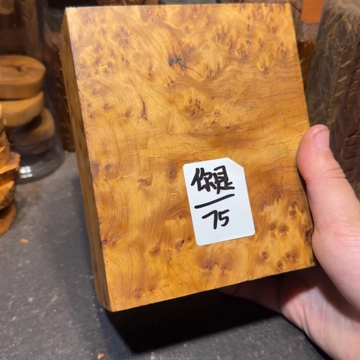香榧木111111111111
