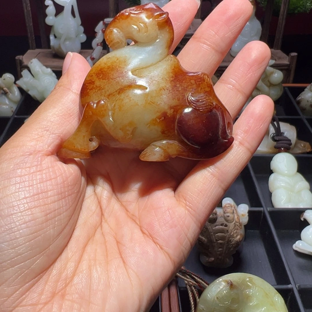 缸一物一图 所见所得