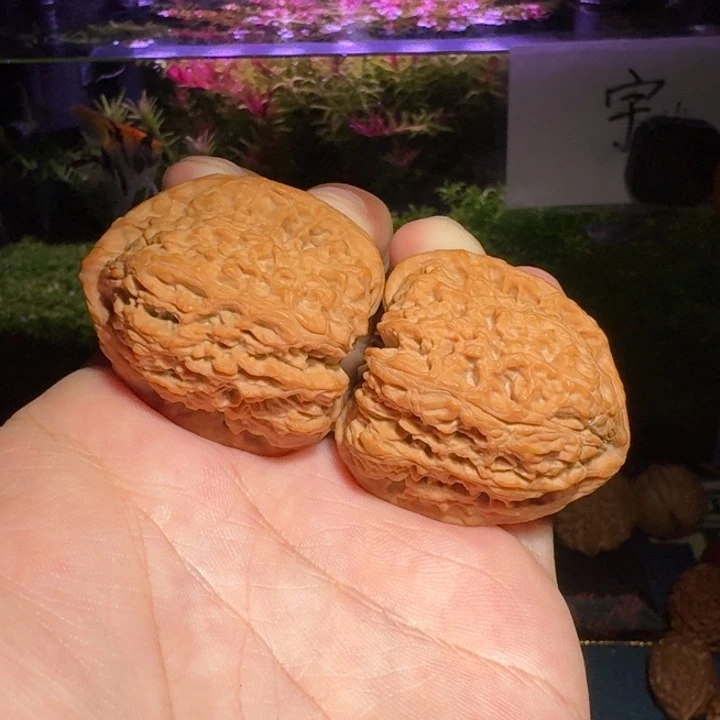 实***面875号39南疆石南疆石南疆石