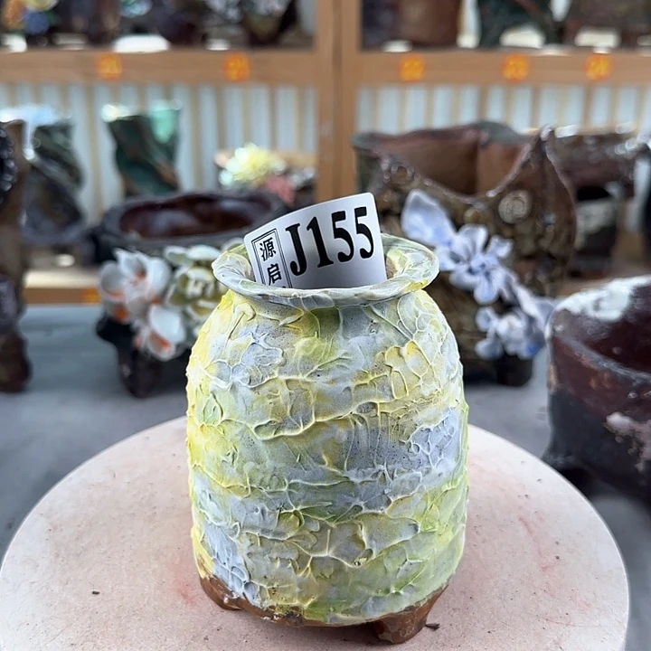 紫砂花盆景德镇陶瓷多肉花盆9.9