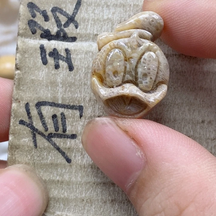 颈饰未镶嵌硅化珊瑚（珊瑚玉）Y**记小