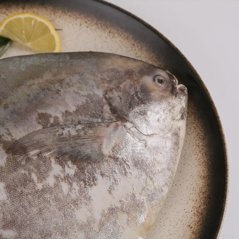 特大深海斗鲳鱼野生海鱼新鲜真空速冻肉质鲜嫩真空速冻发顺丰发货