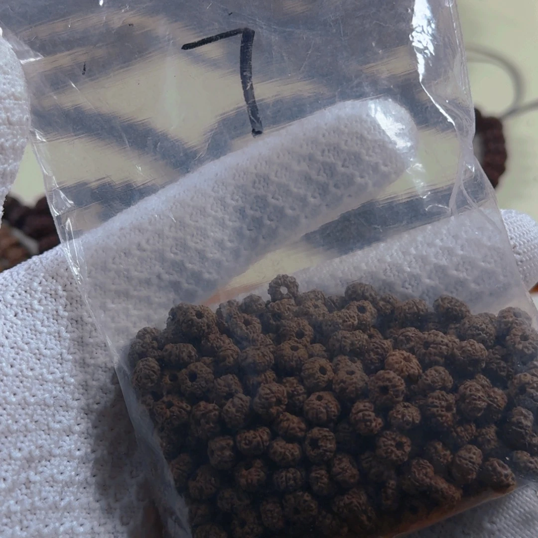 金刚菩提吊坠平细散籽7mm