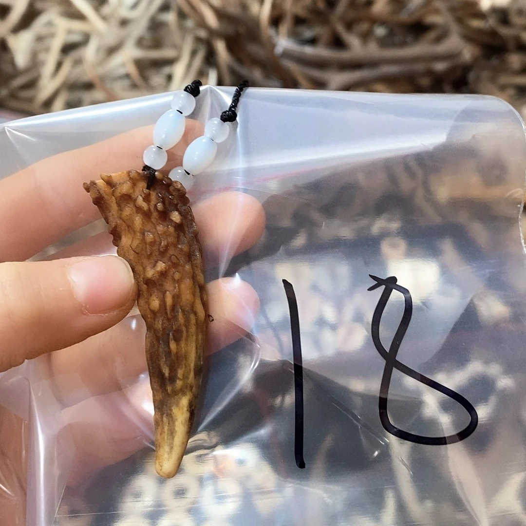 鹿角鹿角鹿角鹿角鹿