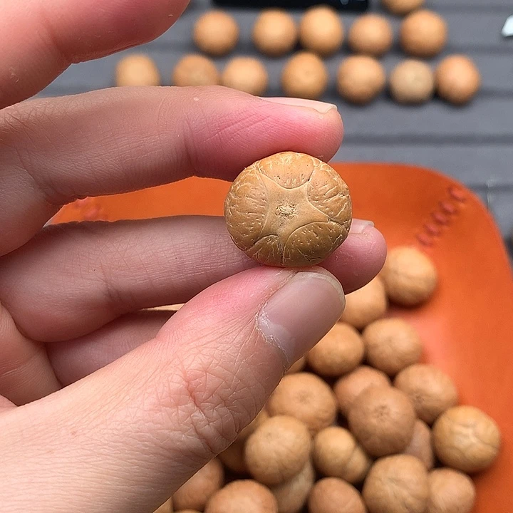 吊坠凤眼菩提21+五星，非质量问题开孔不退