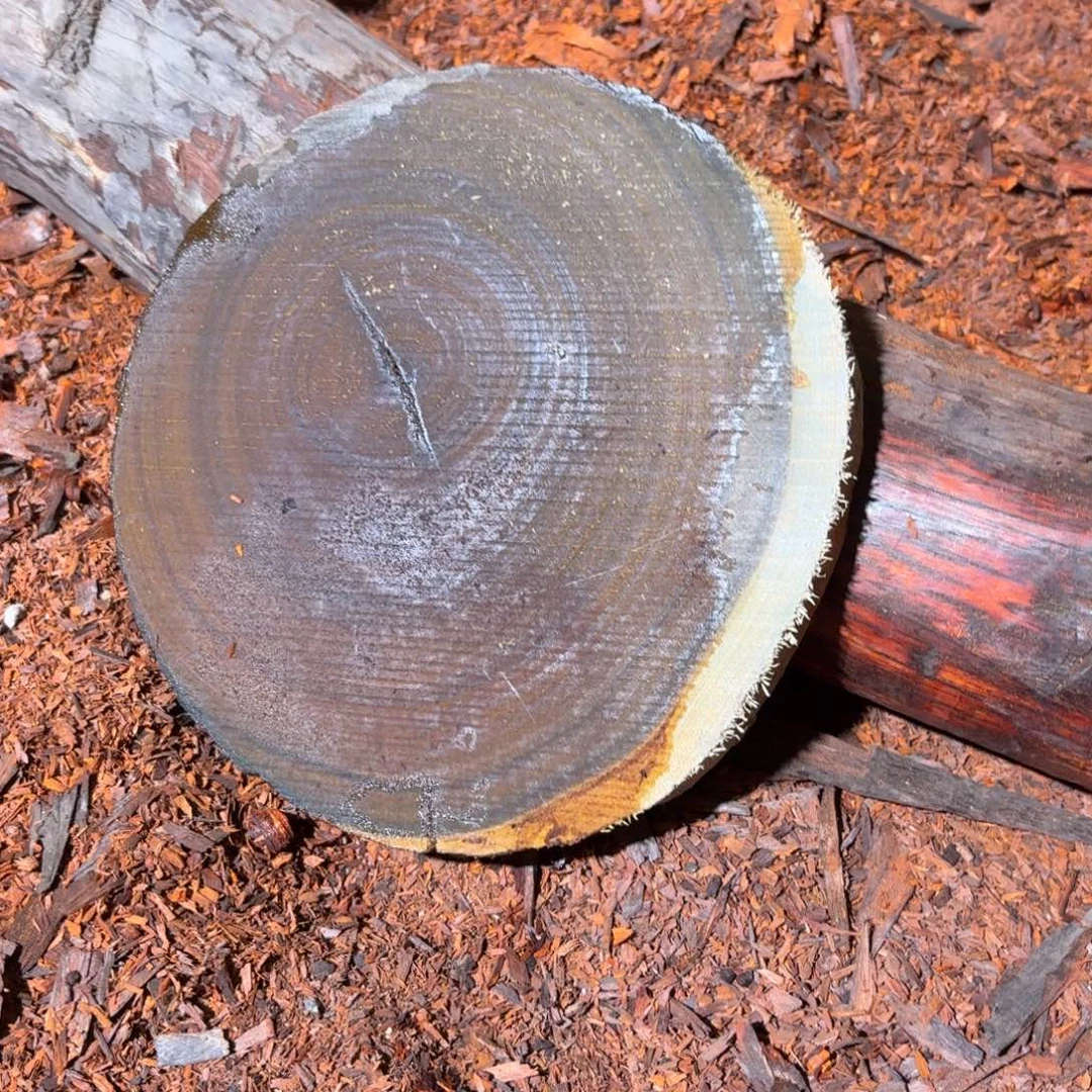 维腊木（绿檀）6403