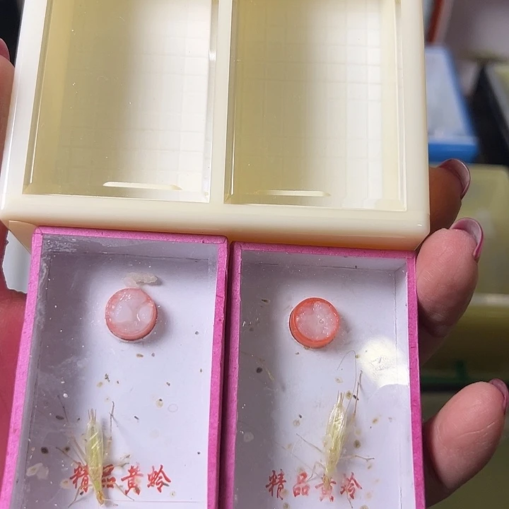 积***化蟋蟀哈哈哈哈哈哈哈哈哈哈哈