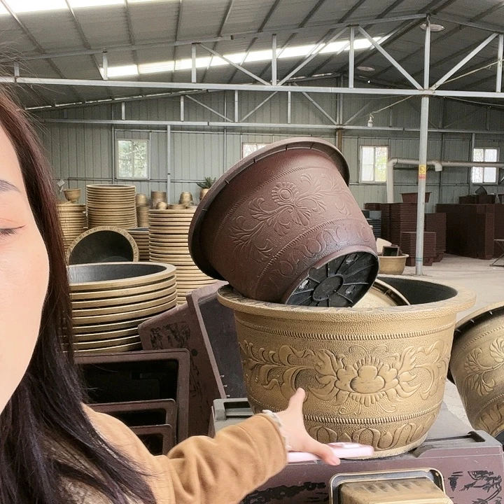 钟***青83花盆1个100元包邮