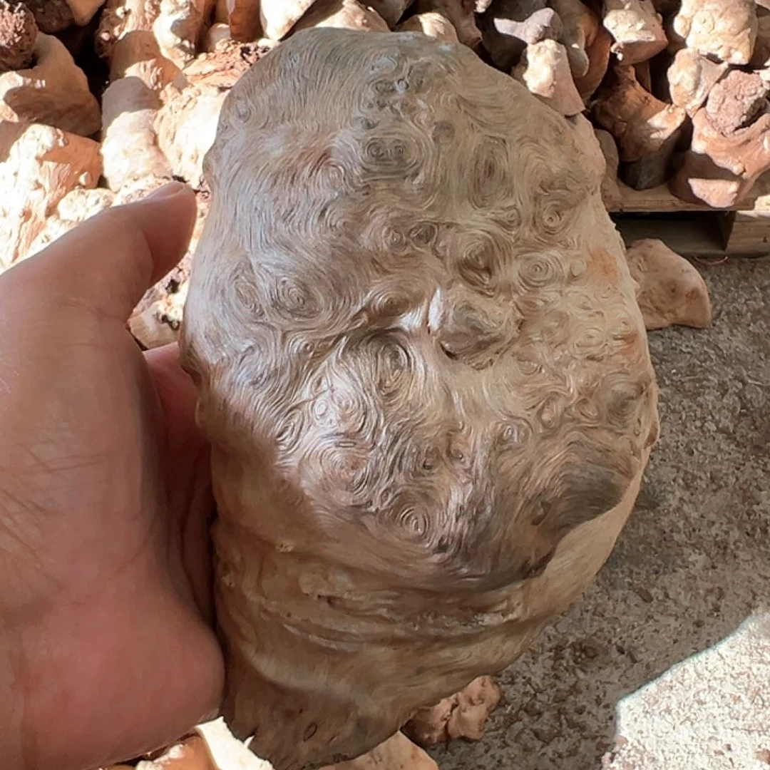 荔枝木゛****荔枝木毛料78